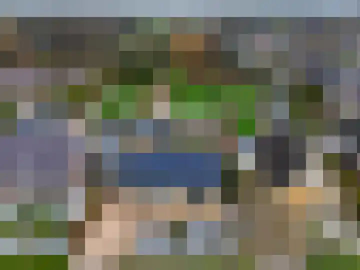 Fiifhuzen 29 Harkema thumbnail 42