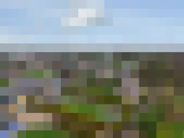 Fiifhuzen 29 Harkema thumbnail 45