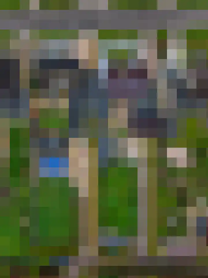 Fiifhuzen 29 Harkema thumbnail 46