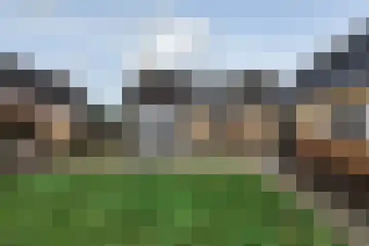 Fiifhuzen 29 Harkema thumbnail 48