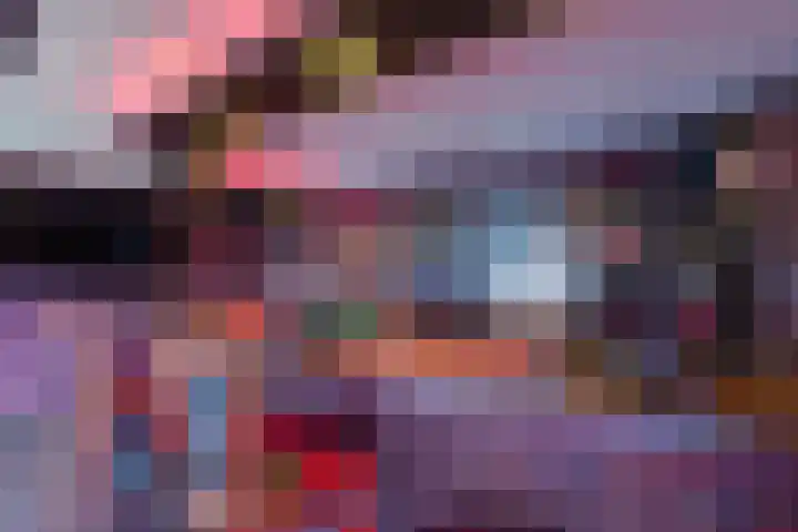 Fiifhuzen 29 Harkema thumbnail 51