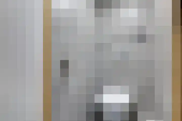 Fiifhuzen 29 Harkema thumbnail 52