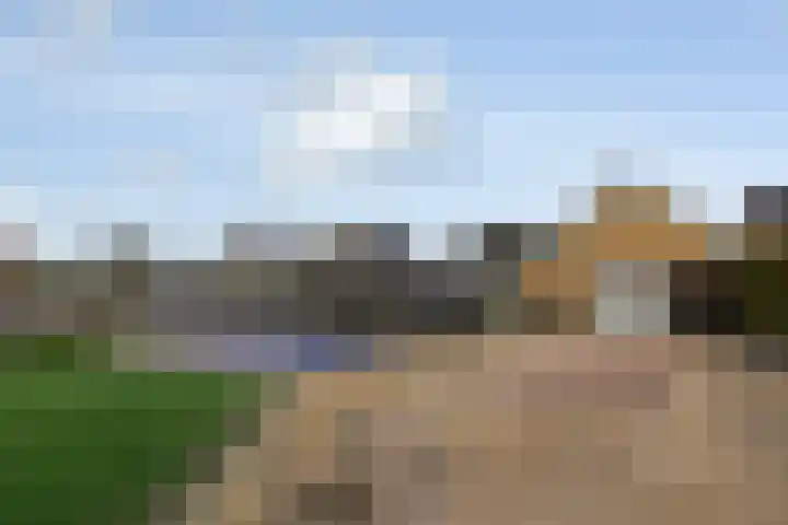 Fiifhuzen 29 Harkema thumbnail 59