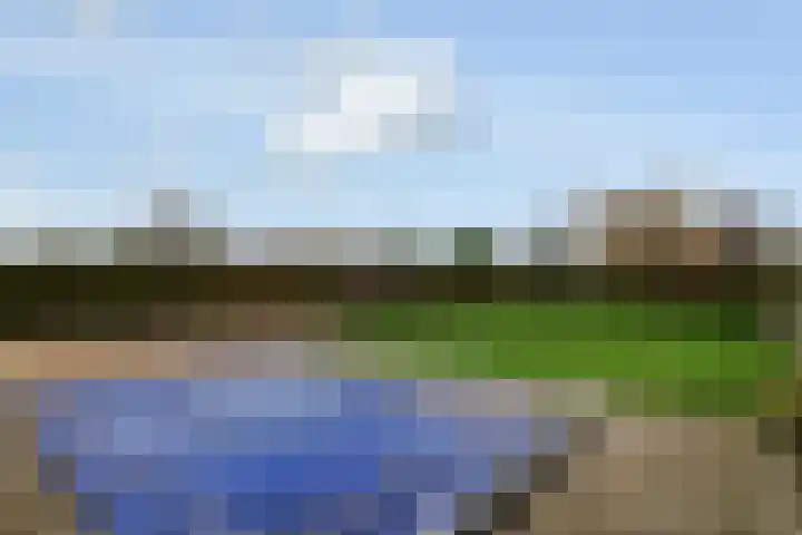 Fiifhuzen 29 Harkema thumbnail 60