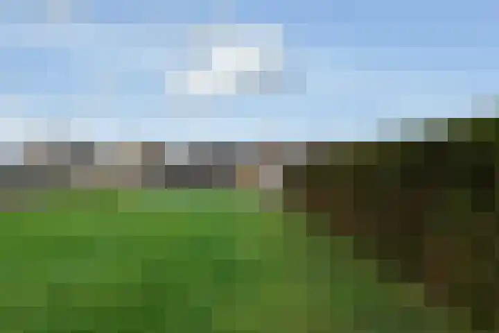 Fiifhuzen 29 Harkema thumbnail 61