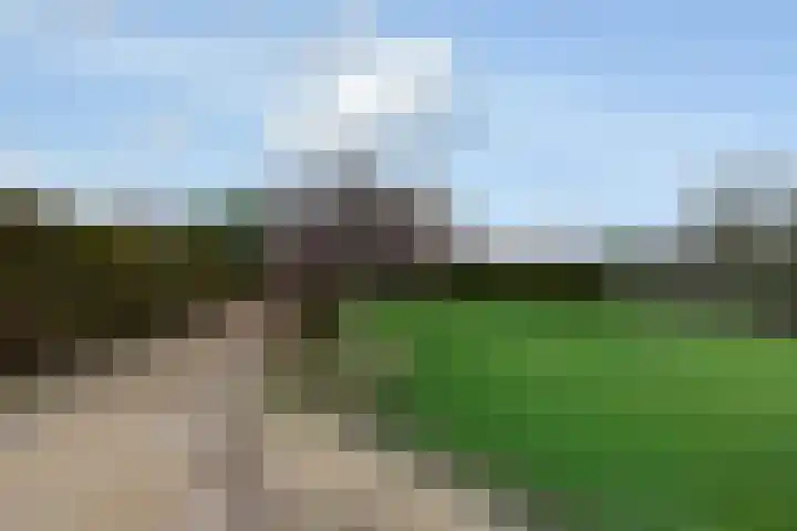 Fiifhuzen 29 Harkema thumbnail 62