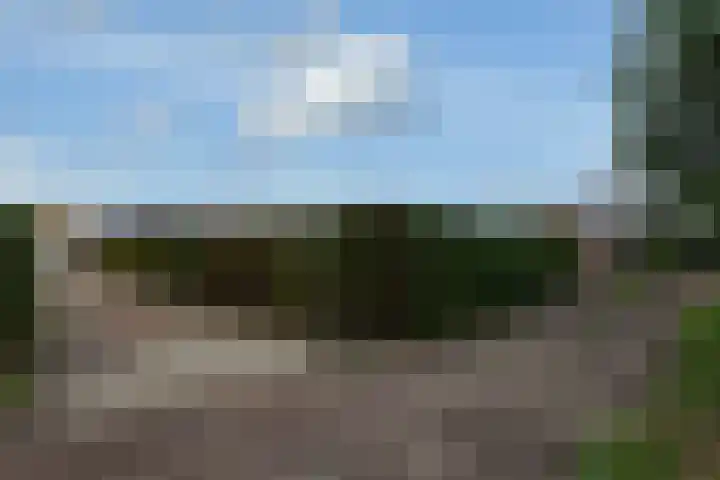 Fiifhuzen 29 Harkema thumbnail 63