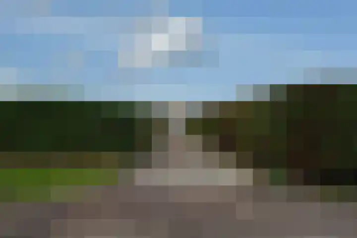 Fiifhuzen 29 Harkema thumbnail 64
