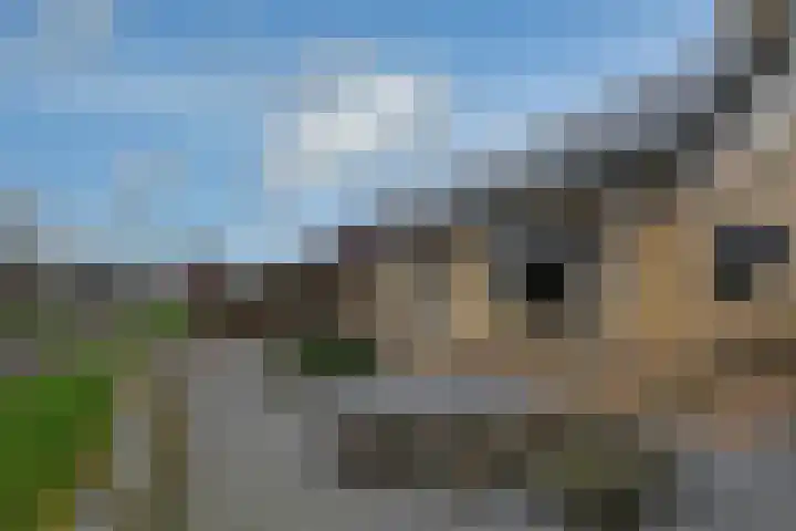 Fiifhuzen 29 Harkema thumbnail 9