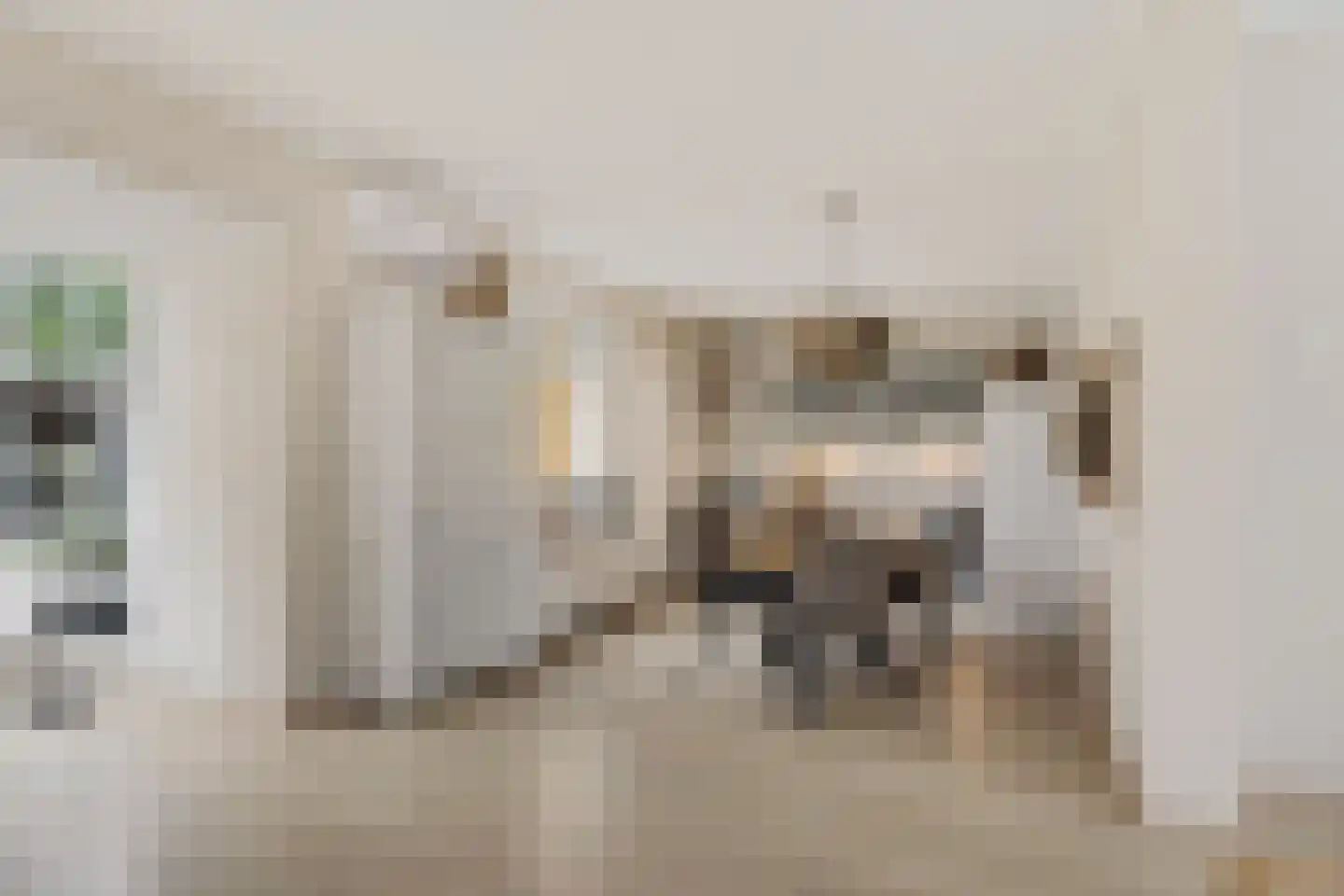 Fiifhuzen 32 Harkema thumbnail 15