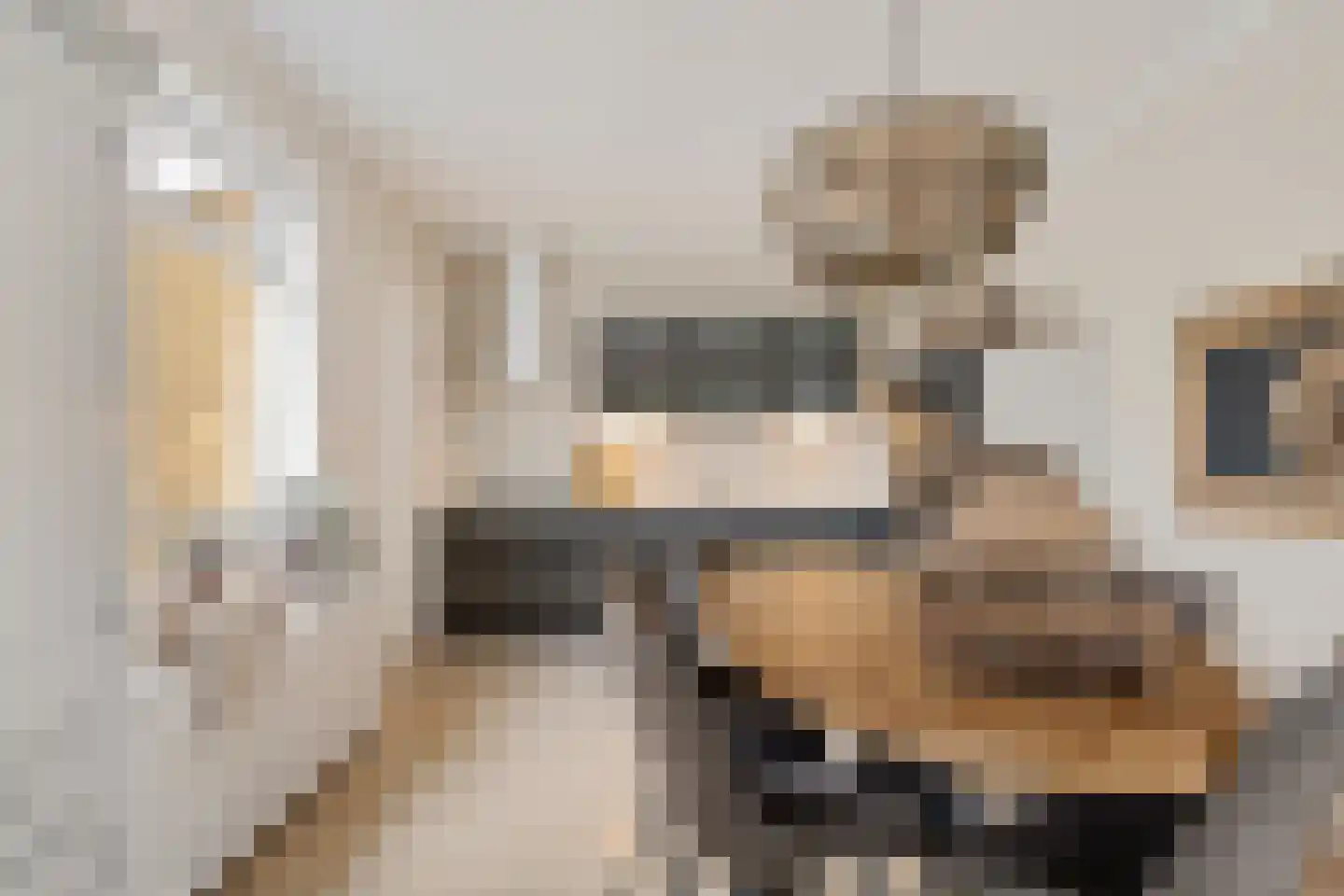 Fiifhuzen 32 Harkema thumbnail 17