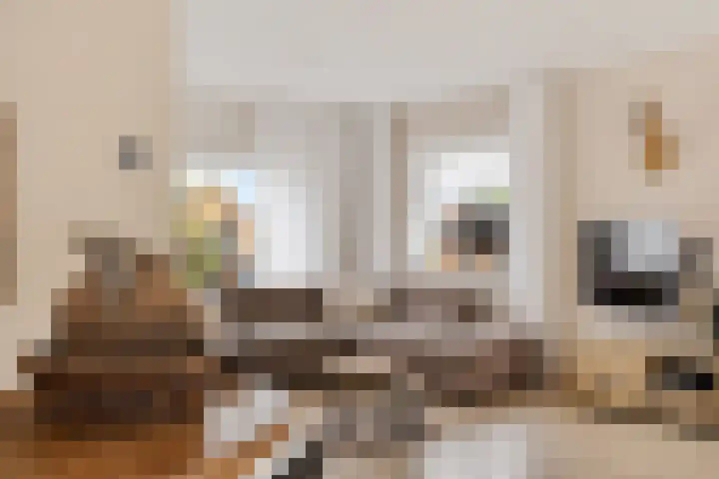 Fiifhuzen 32 Harkema thumbnail 18