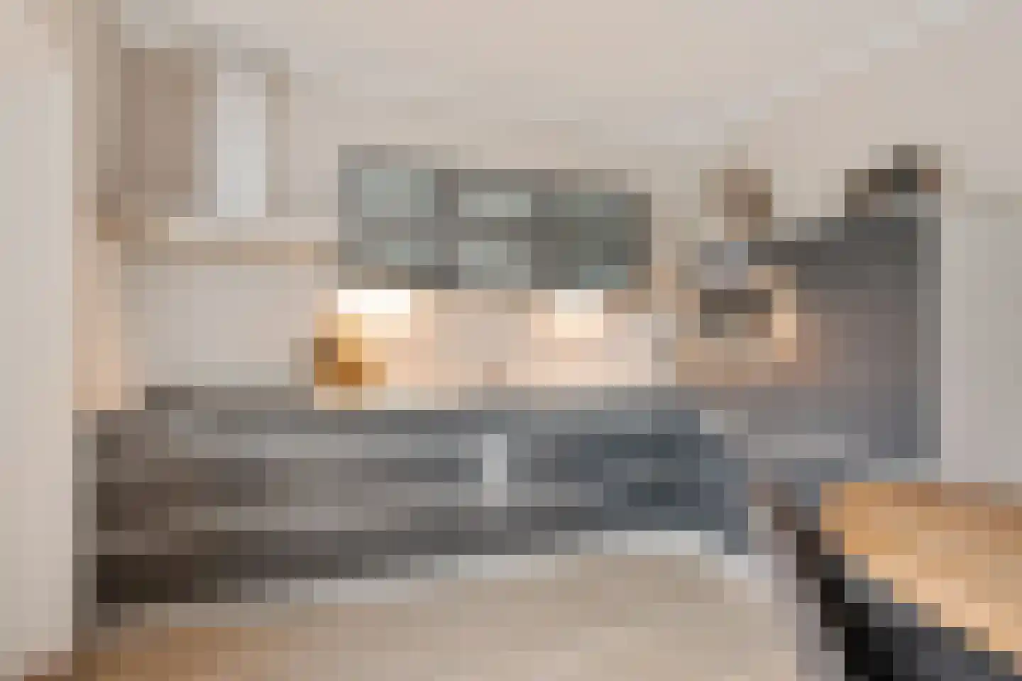 Fiifhuzen 32 Harkema thumbnail 19
