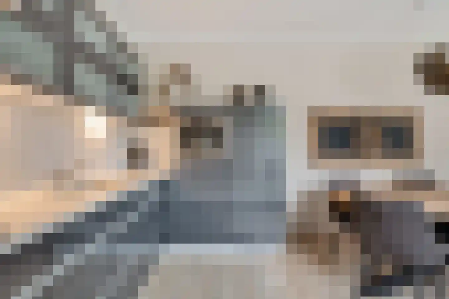 Fiifhuzen 32 Harkema thumbnail 20