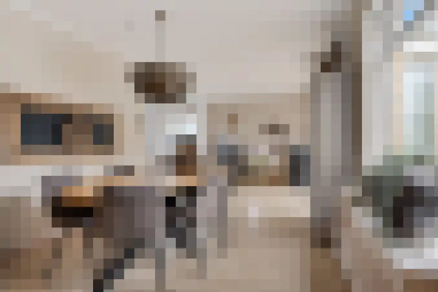 Fiifhuzen 32 Harkema thumbnail 21
