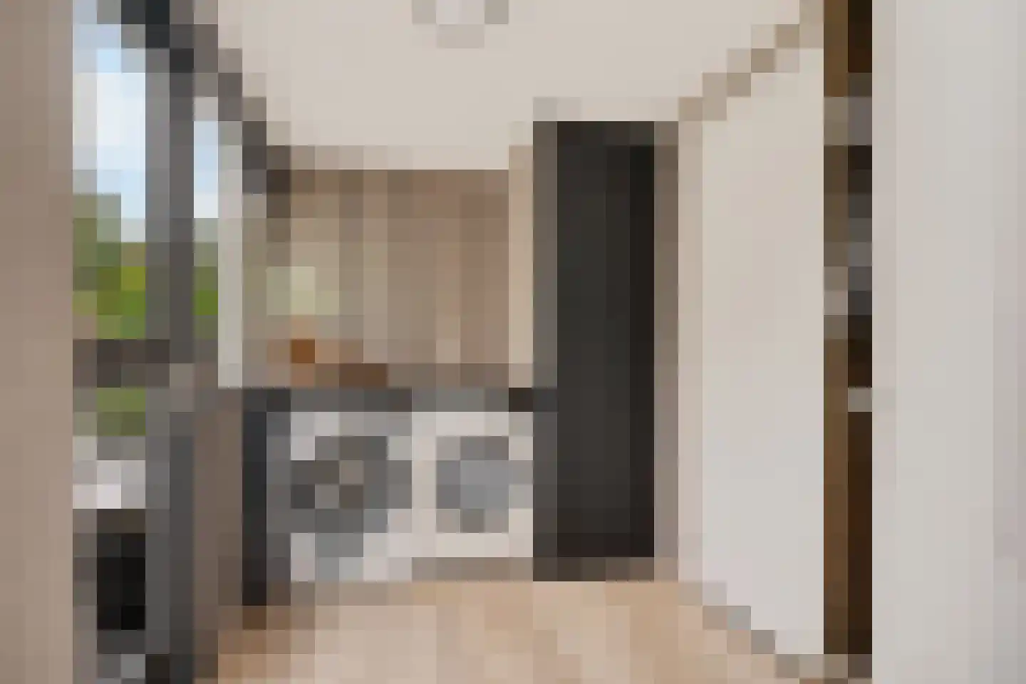 Fiifhuzen 32 Harkema thumbnail 22