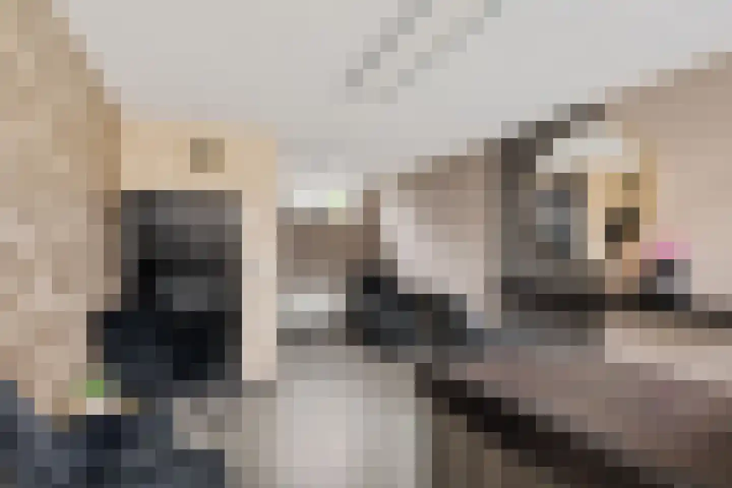 Fiifhuzen 32 Harkema thumbnail 25
