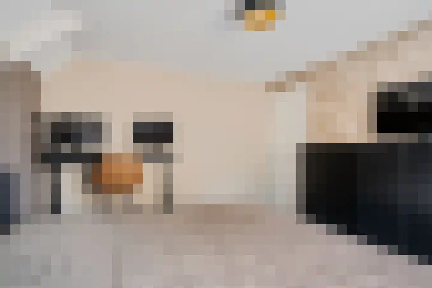 Fiifhuzen 32 Harkema thumbnail 30