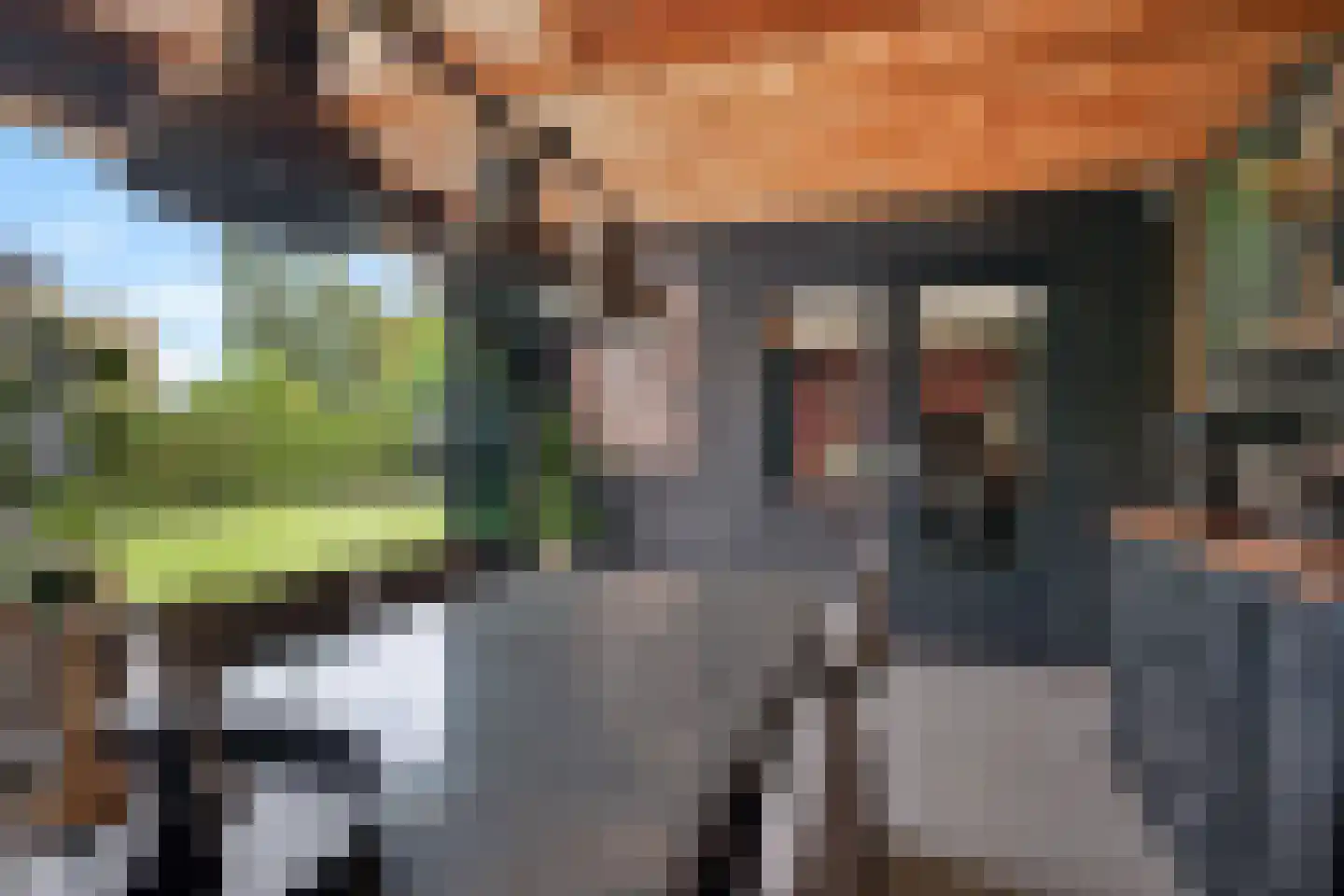 Fiifhuzen 32 Harkema thumbnail 38