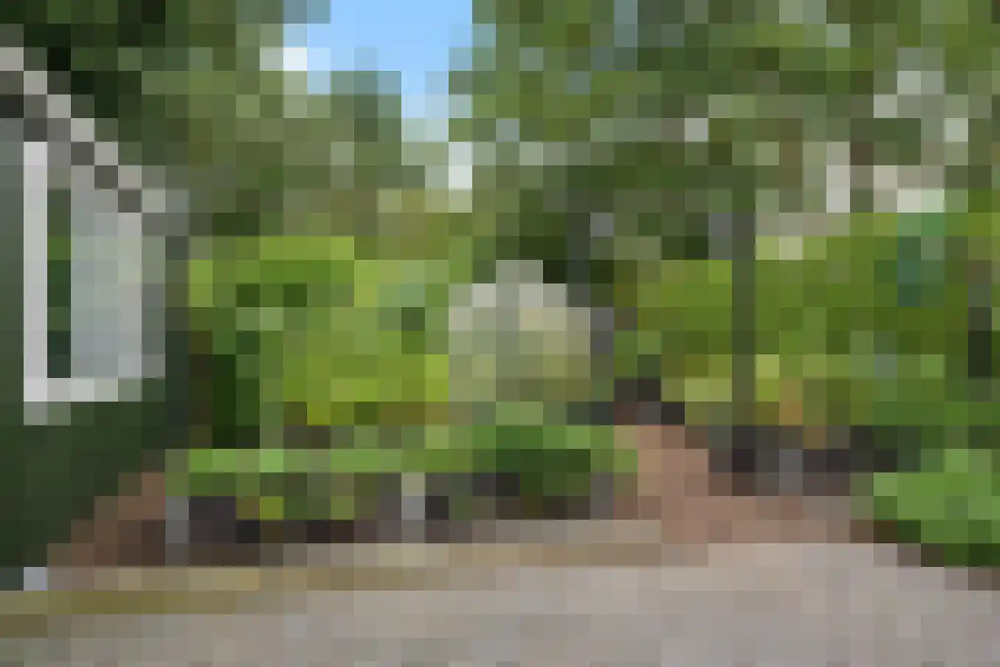 Fiifhuzen 32 Harkema thumbnail 43