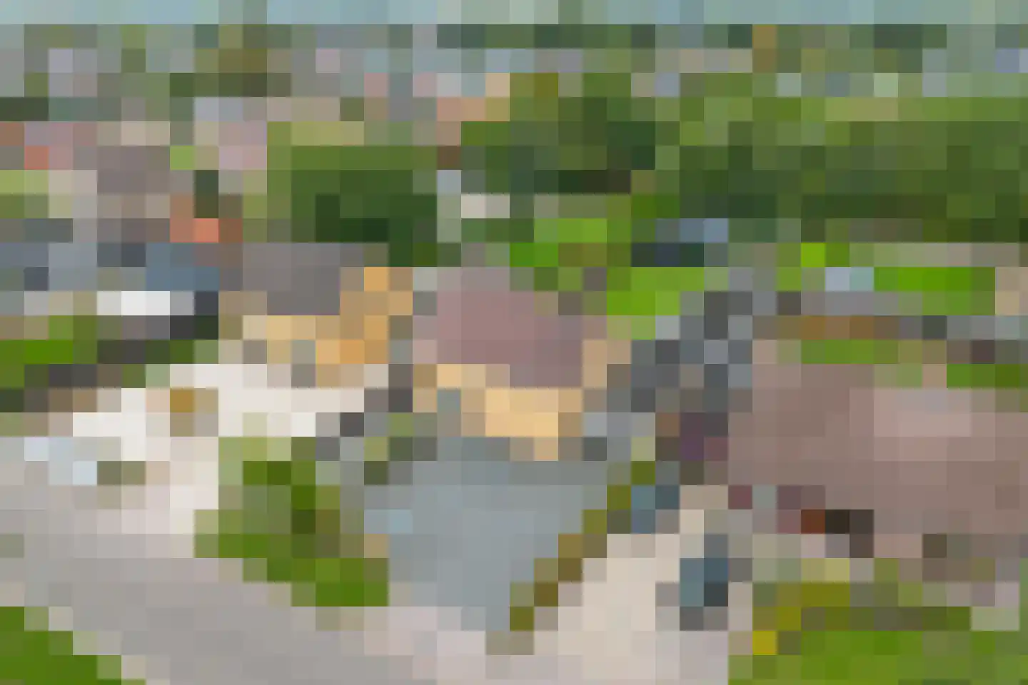 Fiifhuzen 32 Harkema thumbnail 47