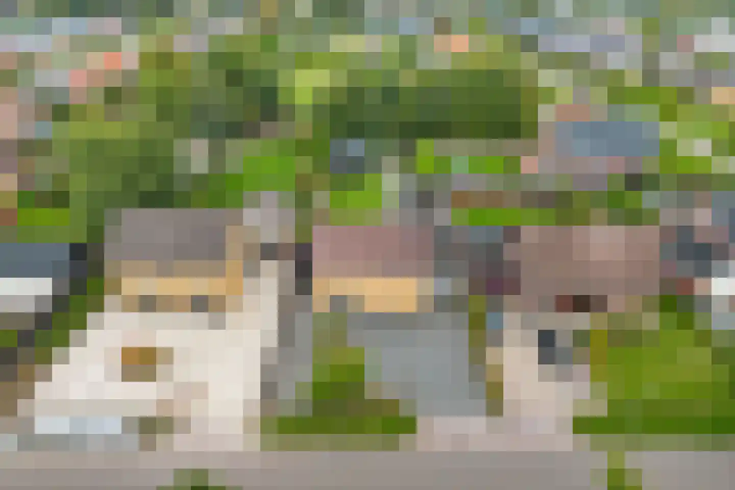 Fiifhuzen 32 Harkema thumbnail 48