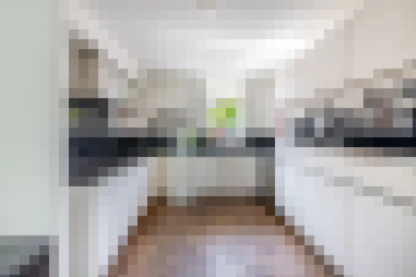 Fijanerf 8 Zevenhuizen thumbnail 11