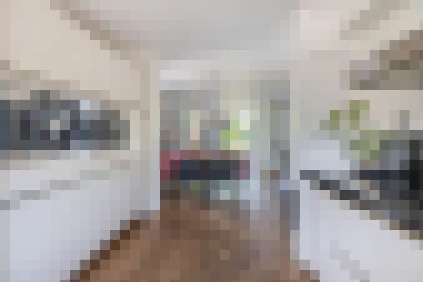 Fijanerf 8 Zevenhuizen thumbnail 13