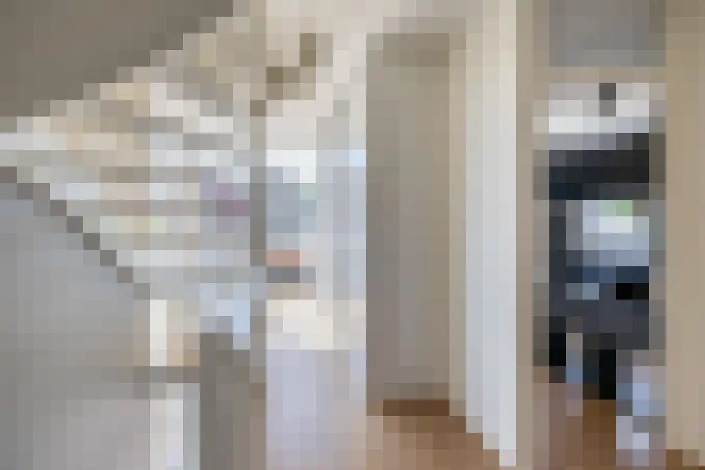 Fijanerf 8 Zevenhuizen thumbnail 14