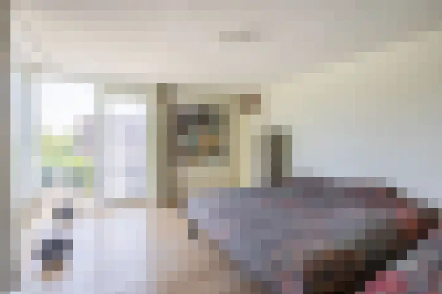 Fijanerf 8 Zevenhuizen thumbnail 15