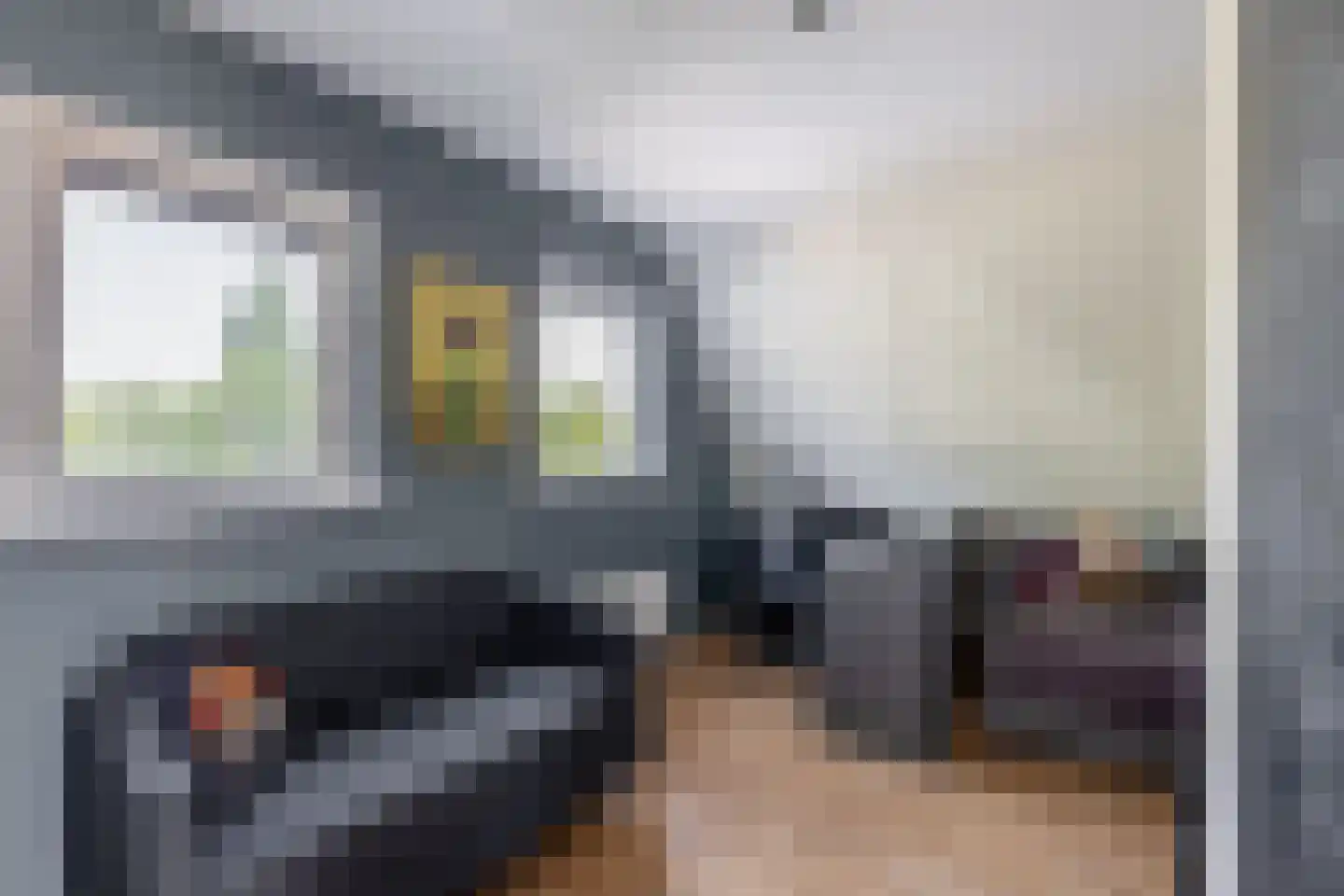 Fijanerf 8 Zevenhuizen thumbnail 18