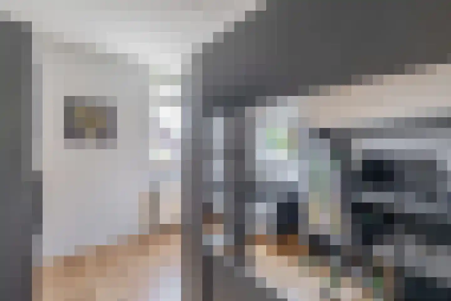 Fijanerf 8 Zevenhuizen thumbnail 20