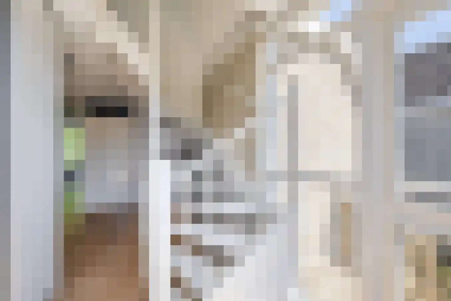 Fijanerf 8 Zevenhuizen thumbnail 23