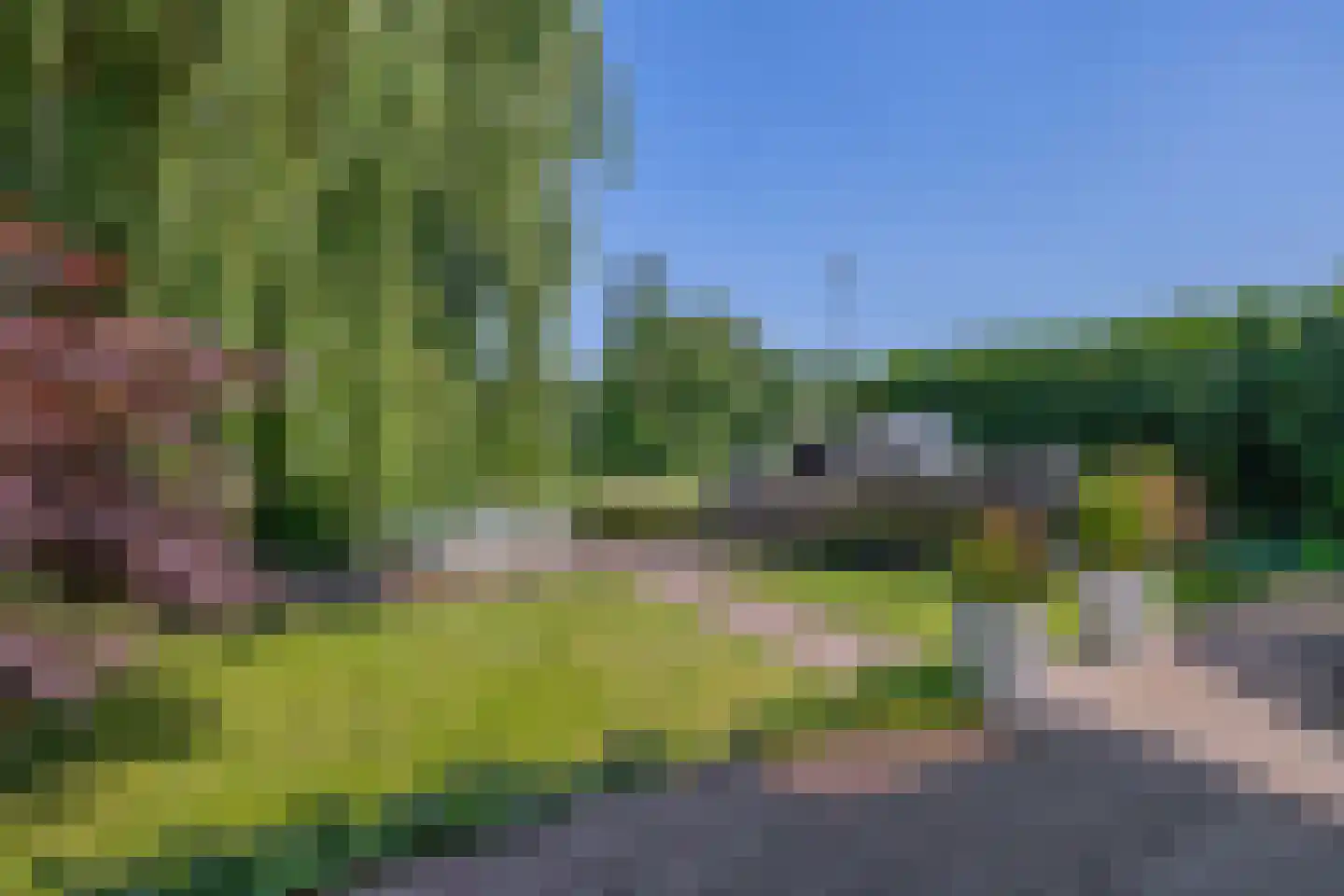 Fijanerf 8 Zevenhuizen thumbnail 30