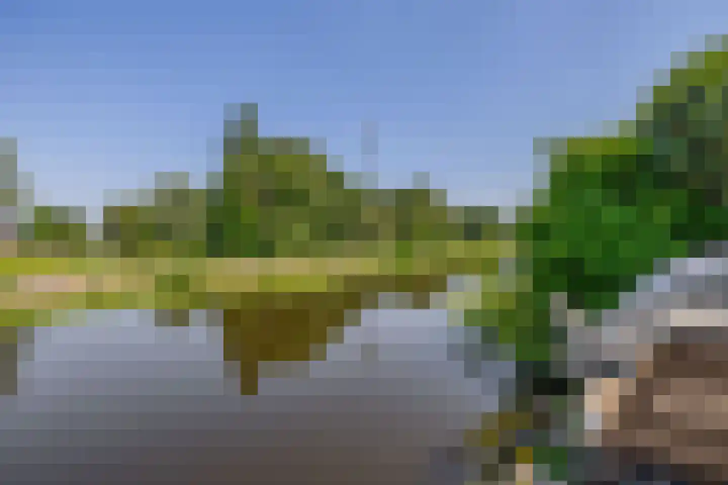 Fijanerf 8 Zevenhuizen thumbnail 31