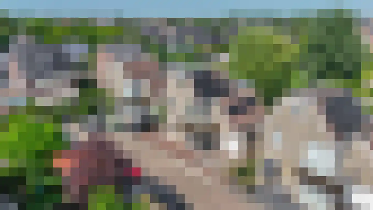 Fijanerf 8 Zevenhuizen thumbnail 35