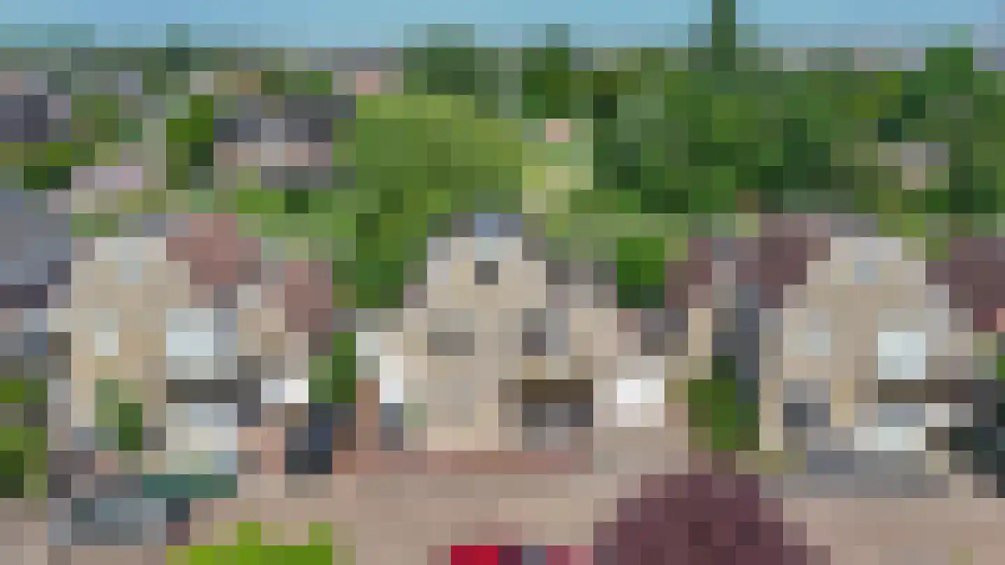 Fijanerf 8 Zevenhuizen thumbnail 36