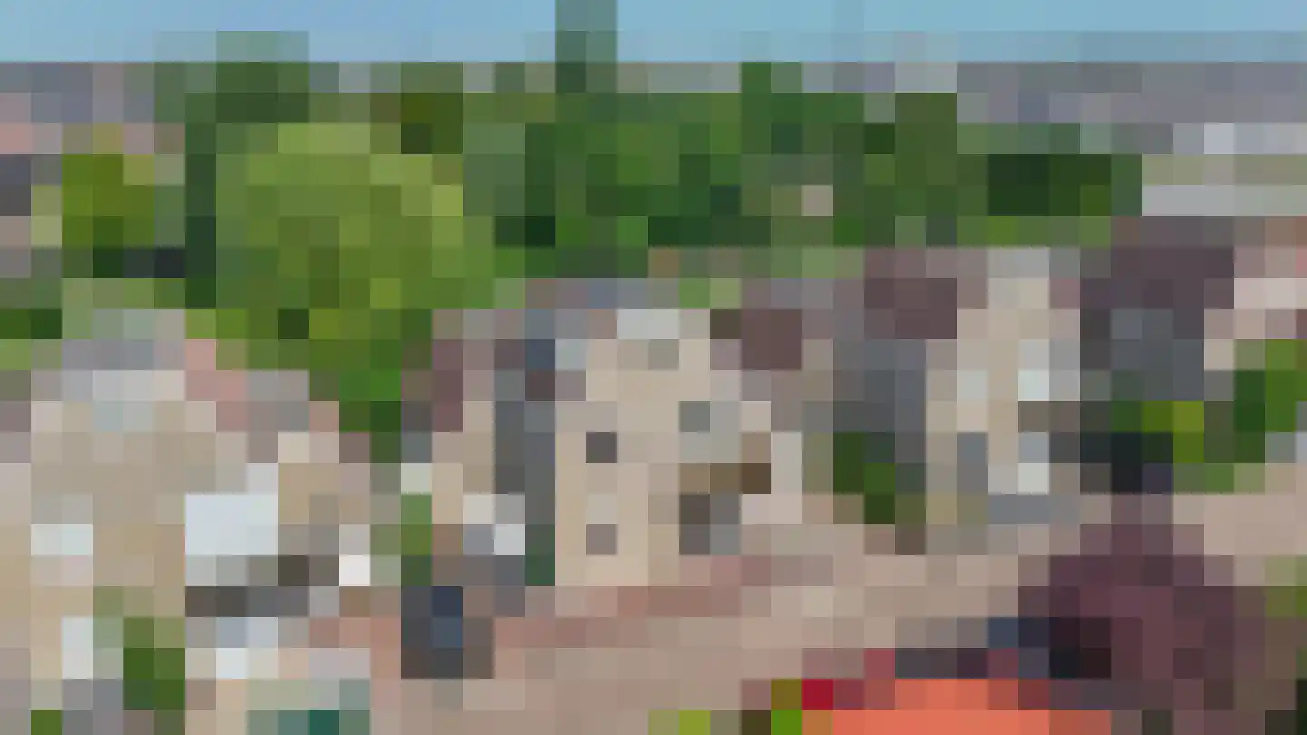 Fijanerf 8 Zevenhuizen thumbnail 37