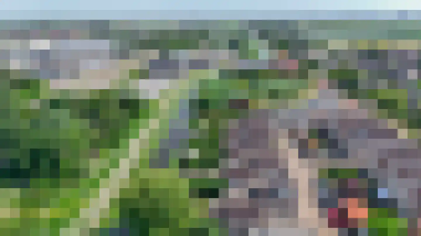 Fijanerf 8 Zevenhuizen thumbnail 38
