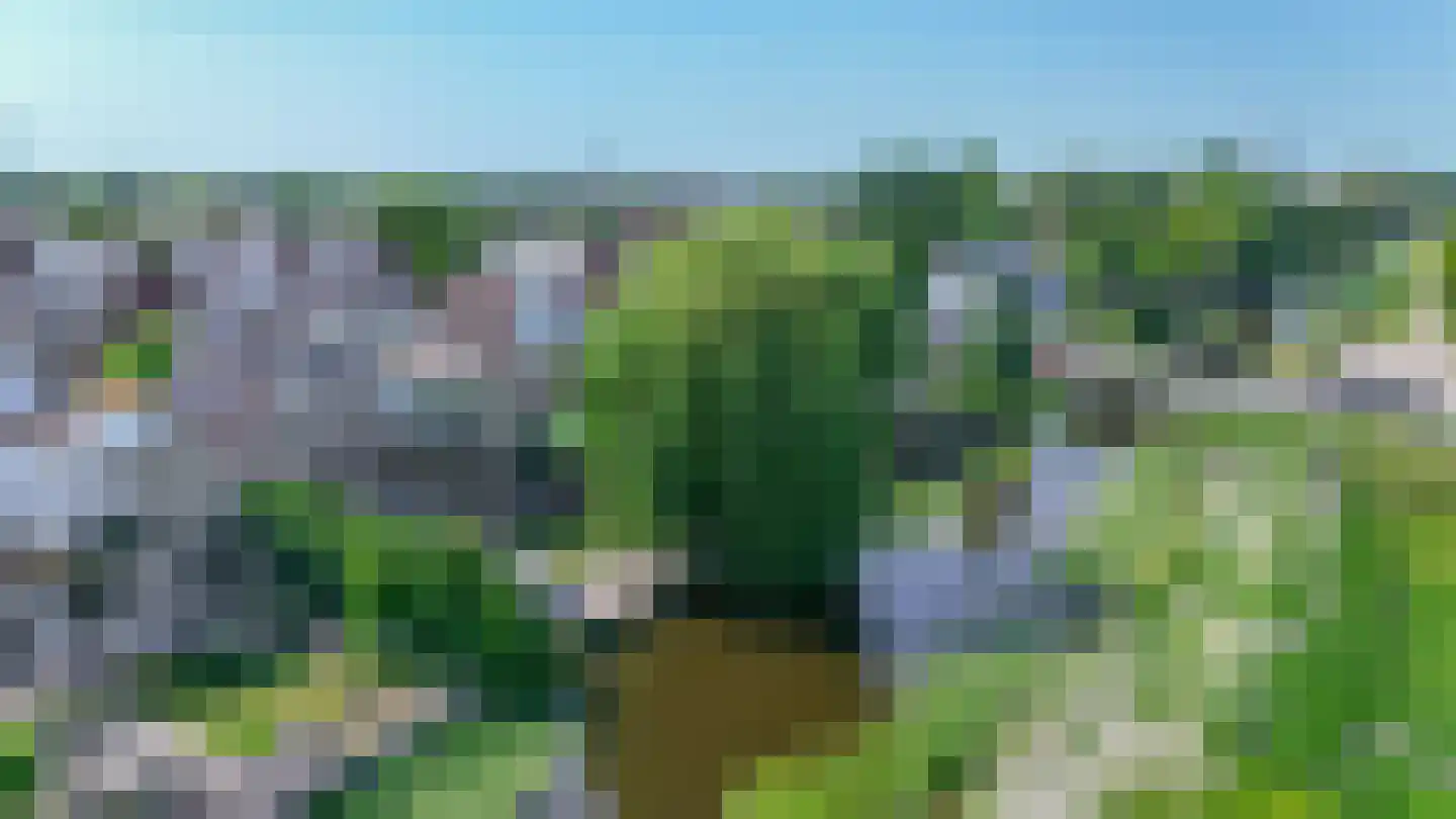 Fijanerf 8 Zevenhuizen thumbnail 39