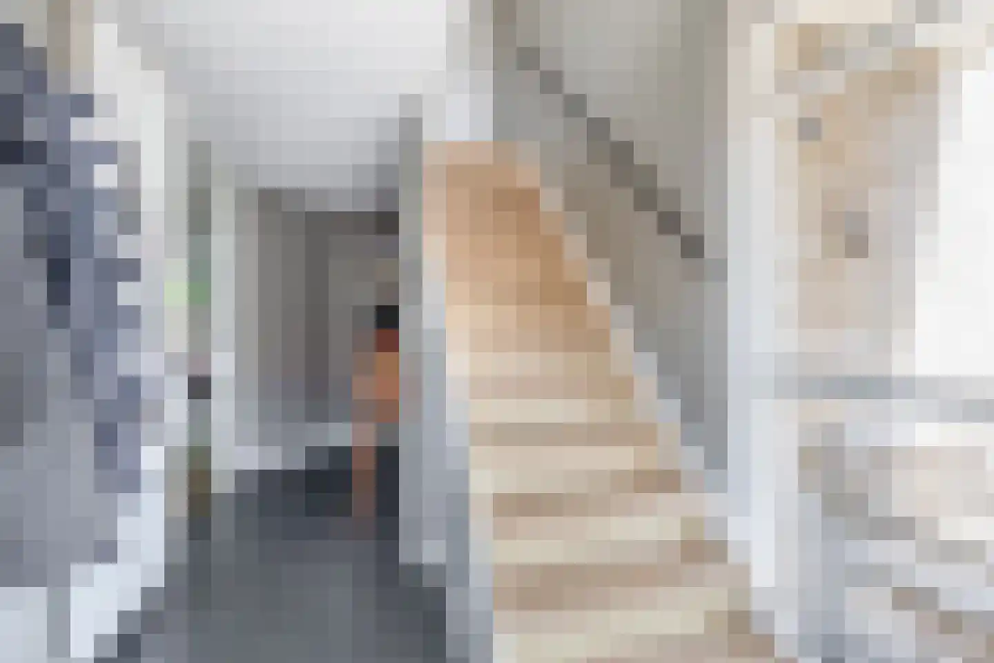 Fijanerf 8 Zevenhuizen thumbnail 6