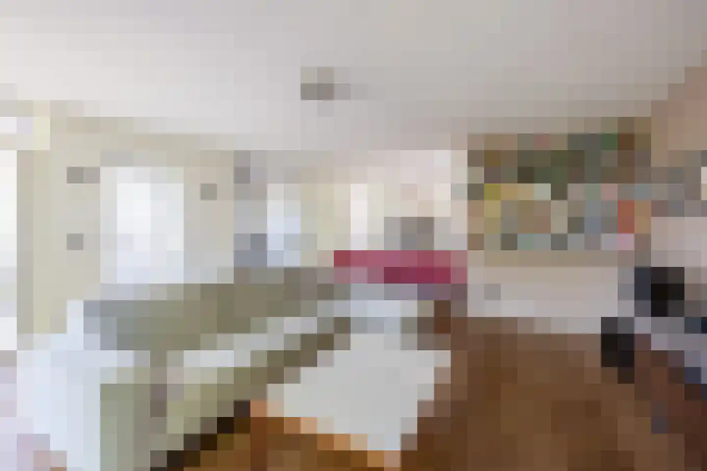 Fijanerf 8 Zevenhuizen thumbnail 8