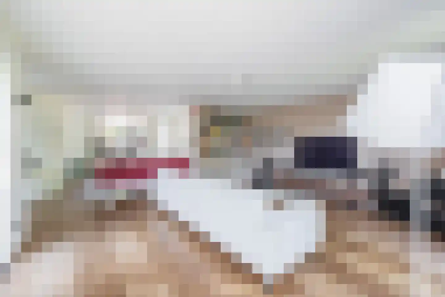 Fijanerf 8 Zevenhuizen thumbnail 9