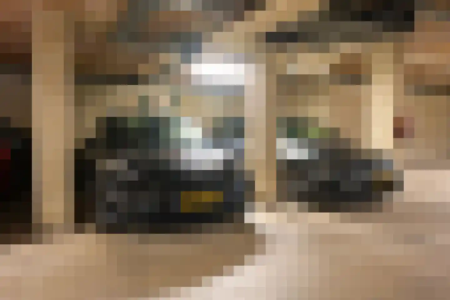 Fijnjekade 246 Den Haag thumbnail 29