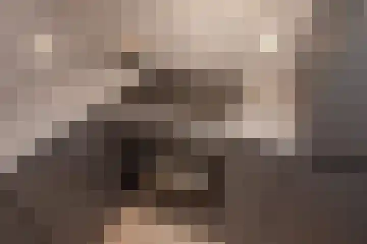 Fijnjekade 286 Den Haag thumbnail 15