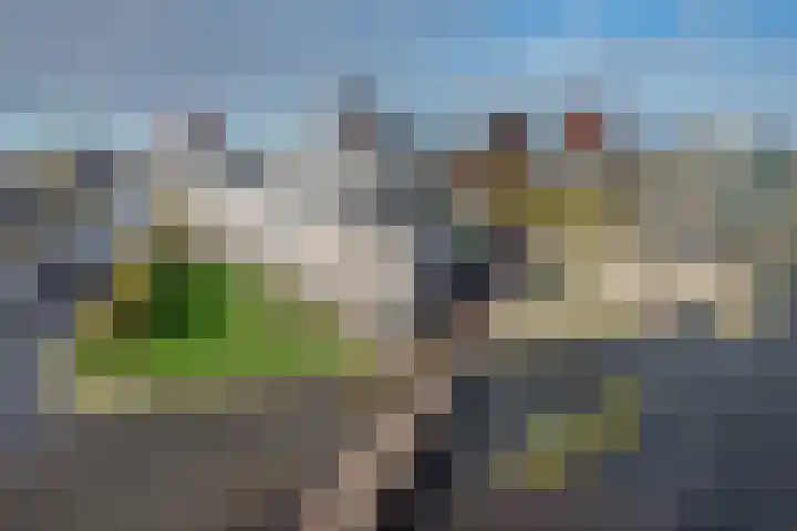 Fijnjekade 286 Den Haag thumbnail 19