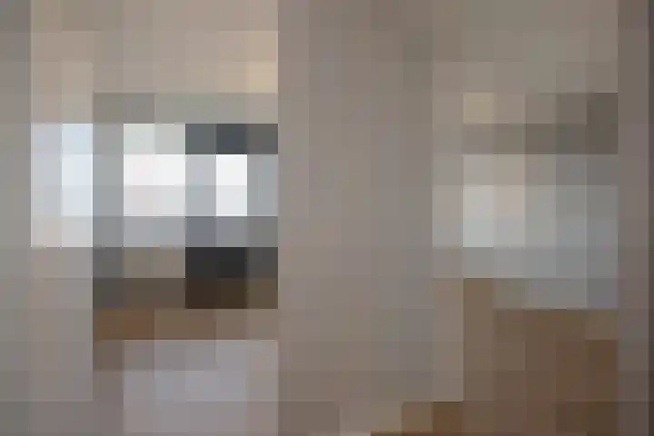 Fijnjekade 286 Den Haag thumbnail 20