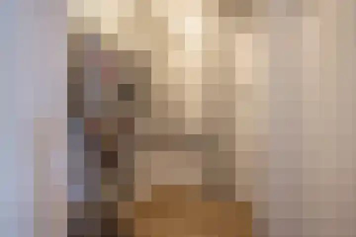 Fijnjekade 286 Den Haag thumbnail 27