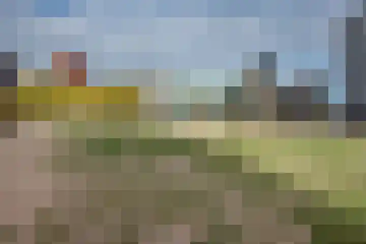 Fijnjekade 286 Den Haag thumbnail 29