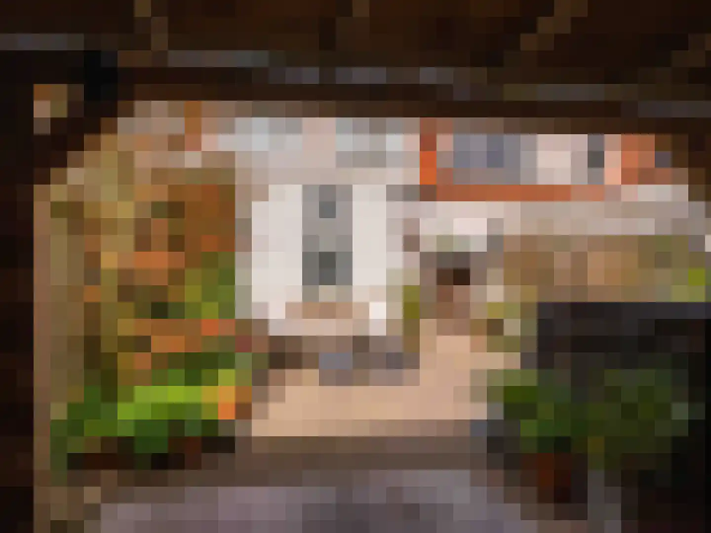 Filarskiweg 2 Bergen (NH) thumbnail 32